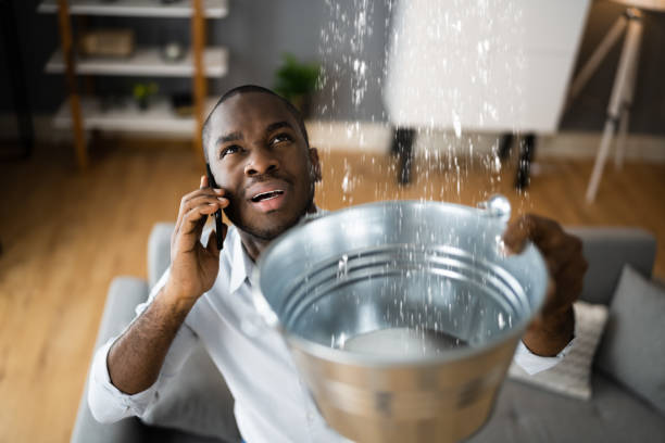 Best Local water damage restoration  in Vanceburg, KY