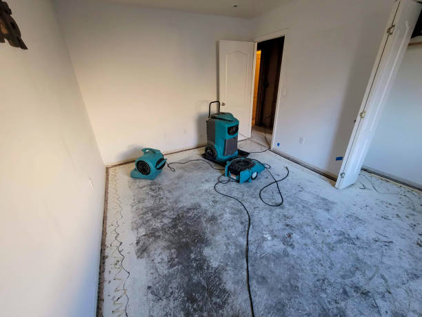 Best Flood restoration services  in Vanceburg, KY