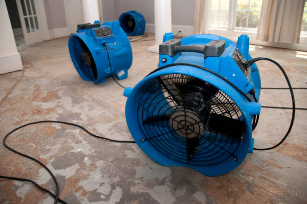 Best Water damage restoration specialists  in Vanceburg, KY