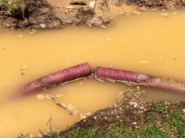 Best Flood damage cleanup  in Vanceburg, KY